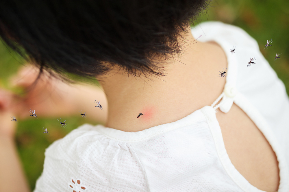 10 Cara Pencegahan Demam Berdarah, Lakukan dari Sekarang Moms